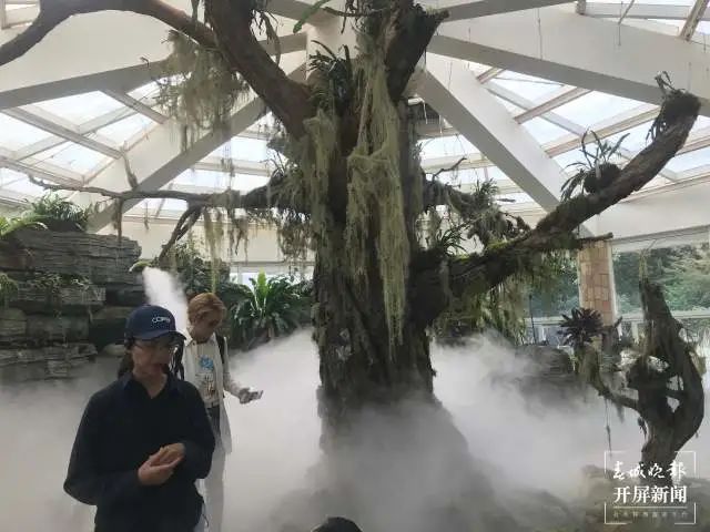春城晚报