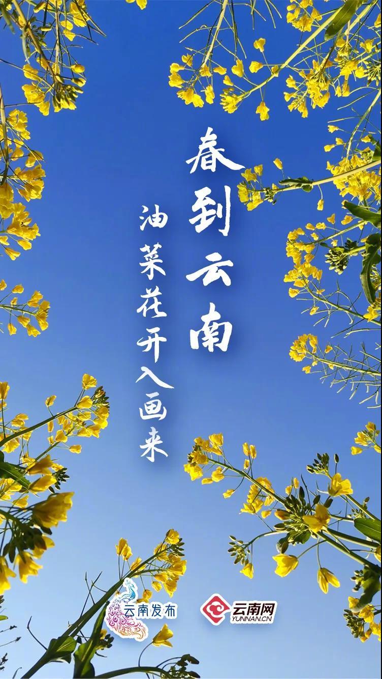 “云南发布”微博