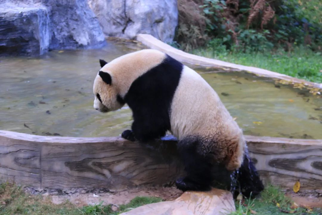 云南野生动物园