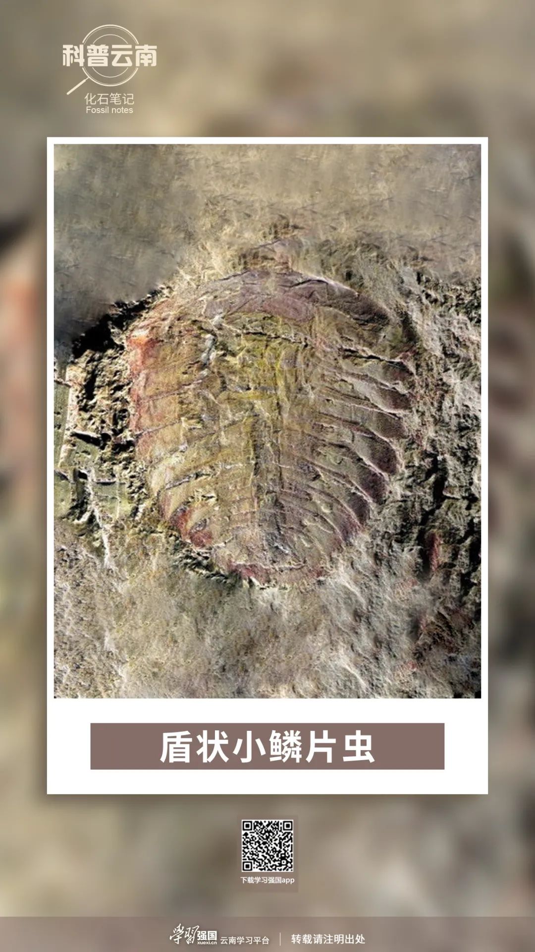 云南省人民政府网