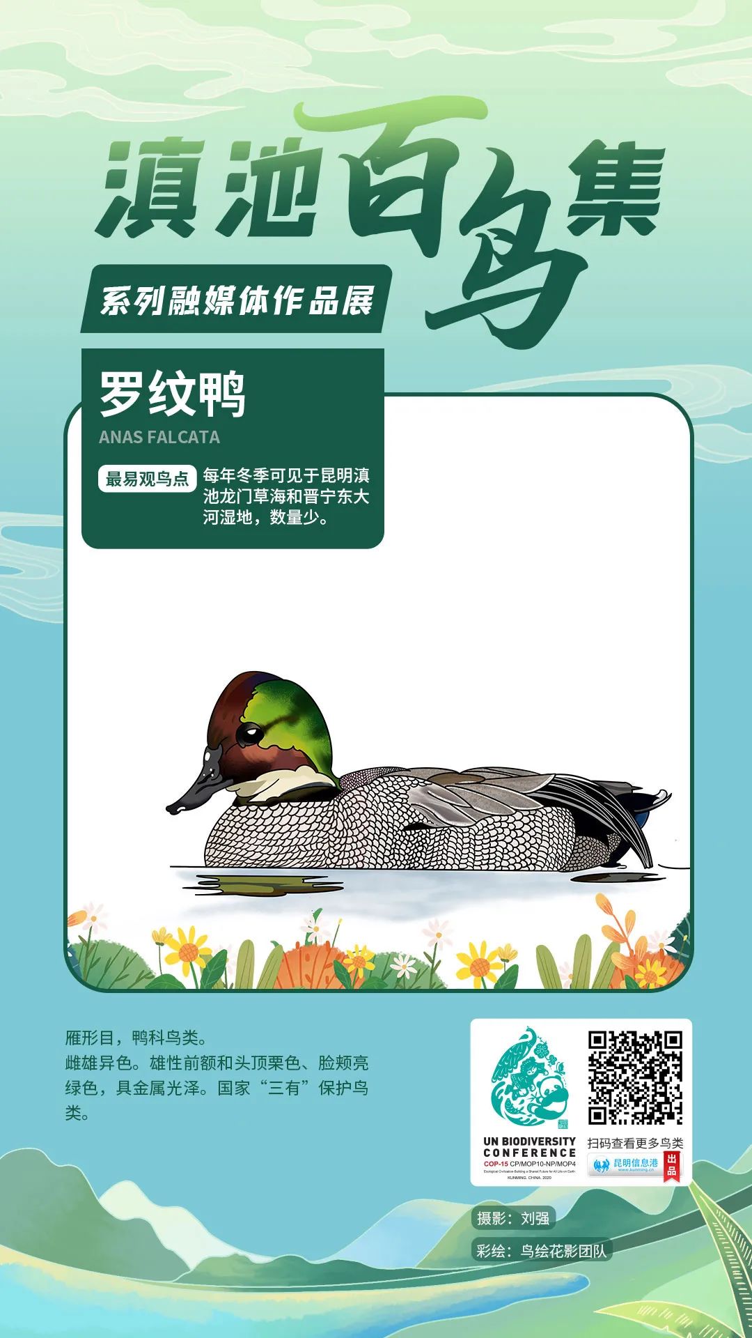 昆明信息港/cnkmxxg