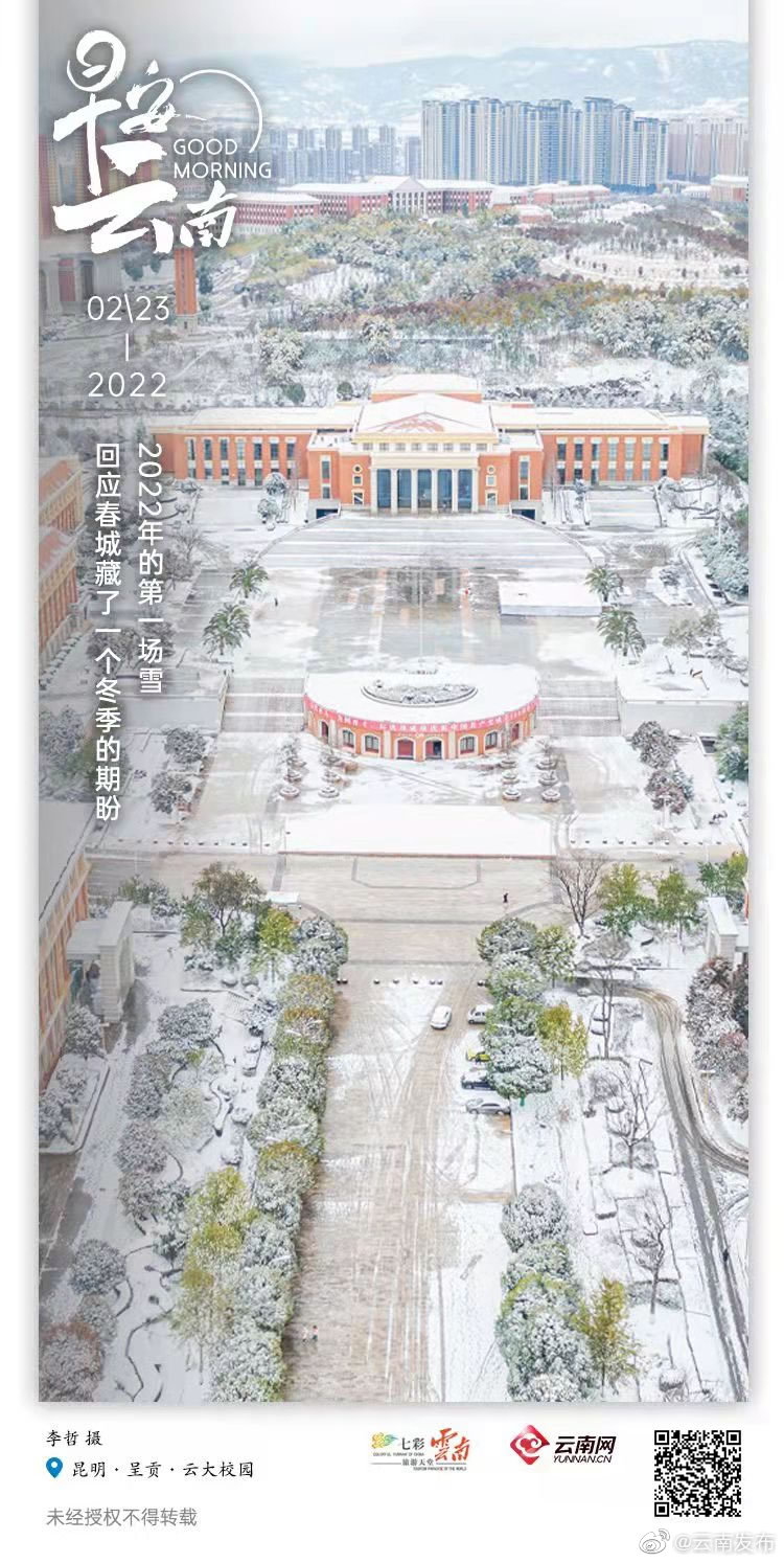 春城无处不飞花，这次飞的是雪花