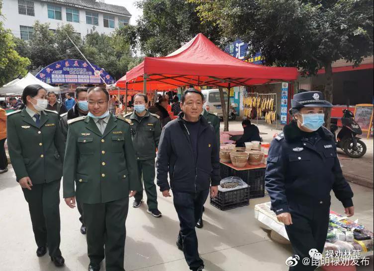 昆明禄劝发布