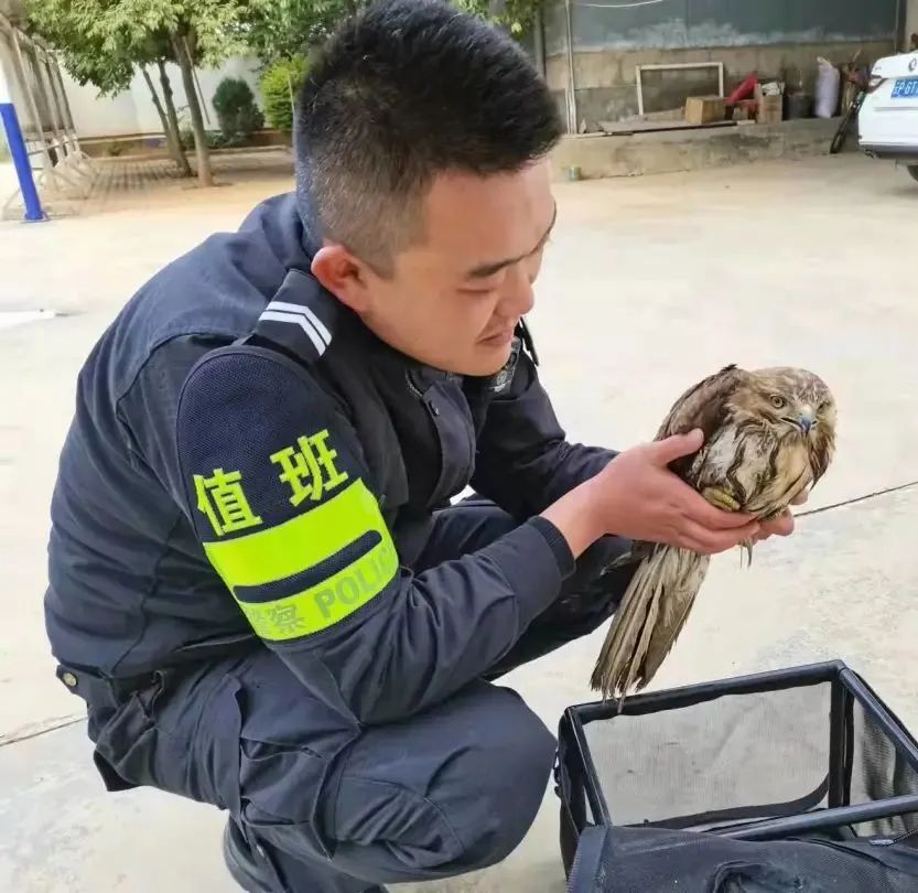云南丽江警方