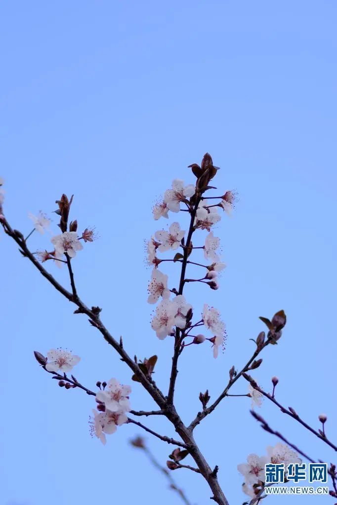 昆明滇池国家旅游度假区管理委员会(微信)