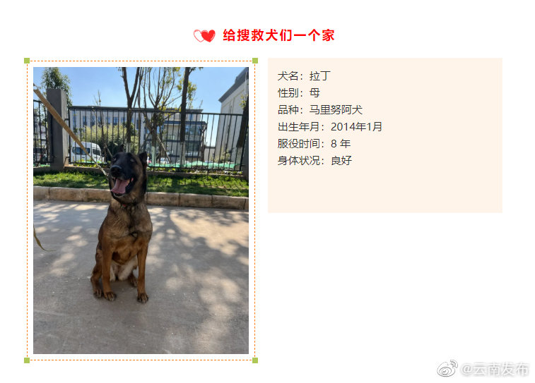 “云南发布”微博
