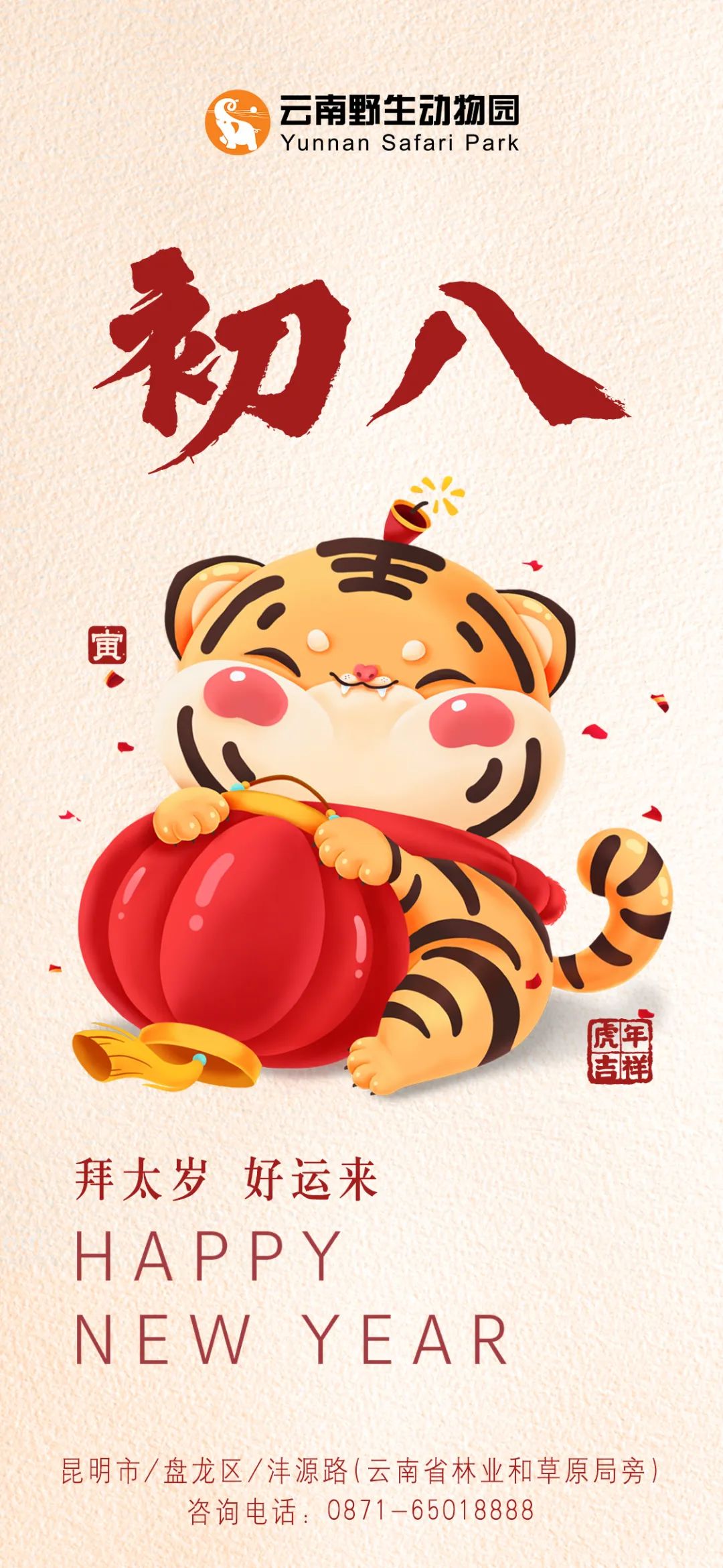 初八|整装待发，共赴征程