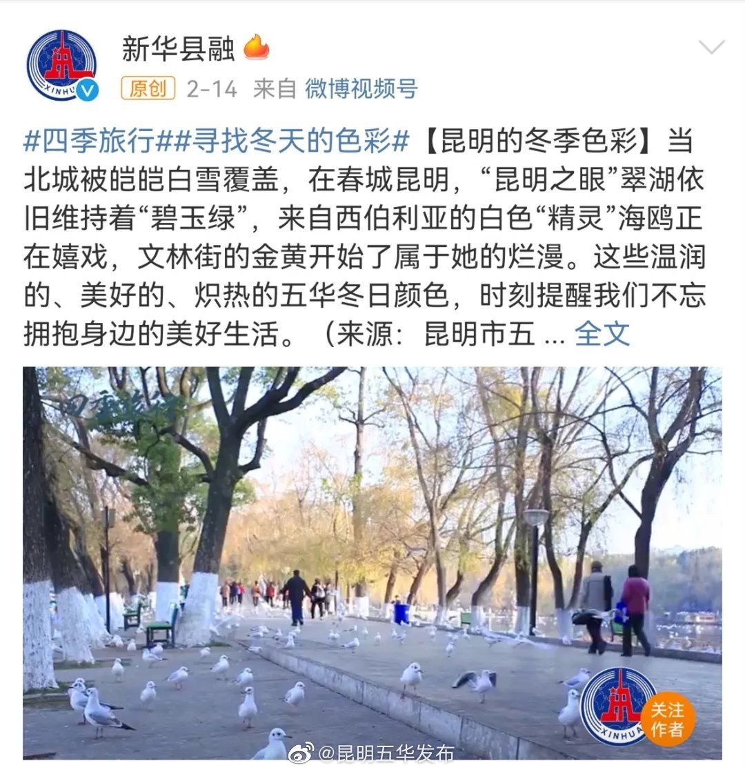 “昆明五华发布”微博