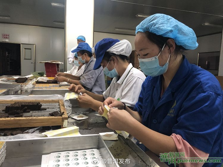 做大做强茶企业 做响做优茶品牌——普洱市茶产业发展的新探索新路径③