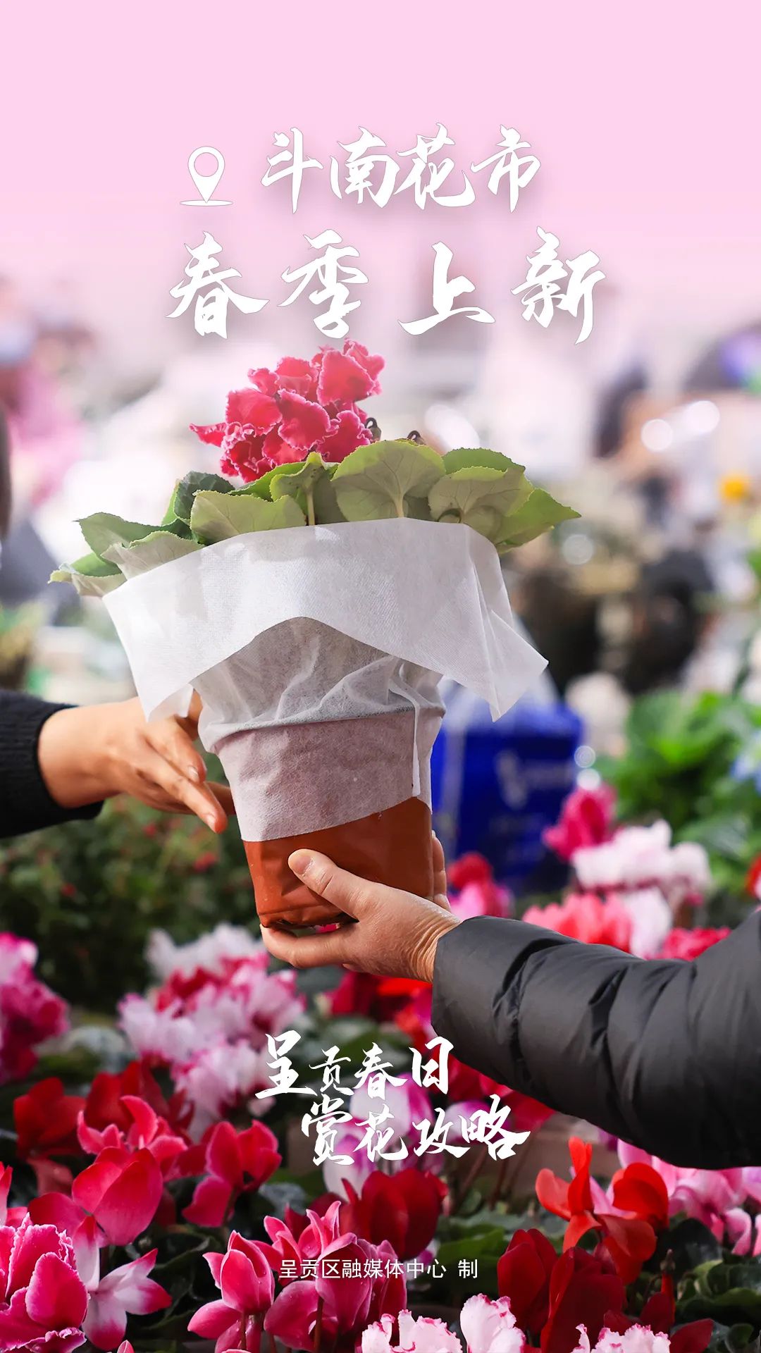 昆明生态环境