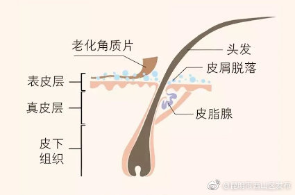“昆明市西山区发布”微博
