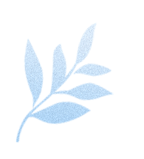 云南省人民政府网