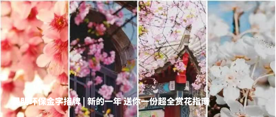 昆明生态环境