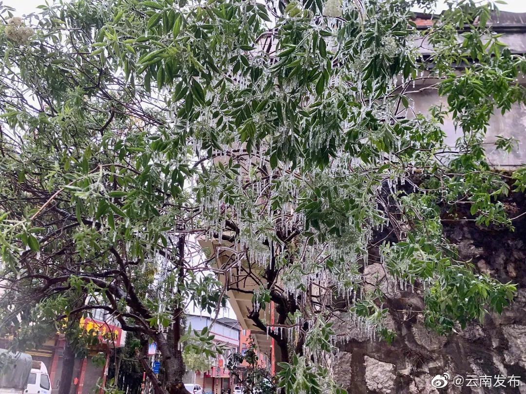 “云南发布”微博