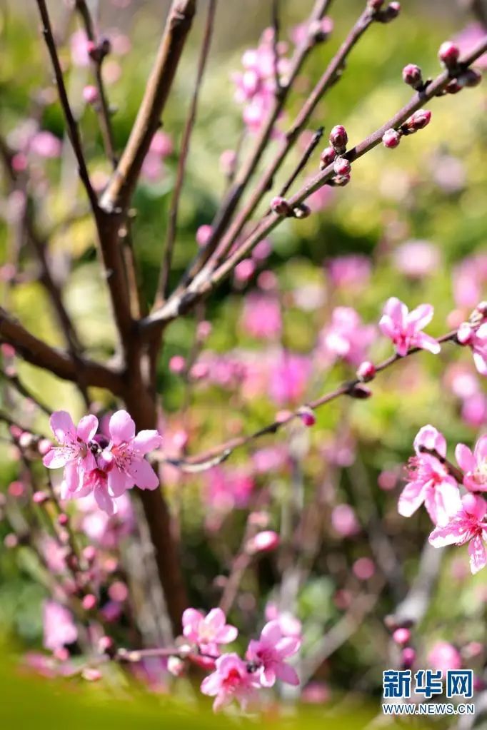 昆明滇池国家旅游度假区管理委员会(微信)