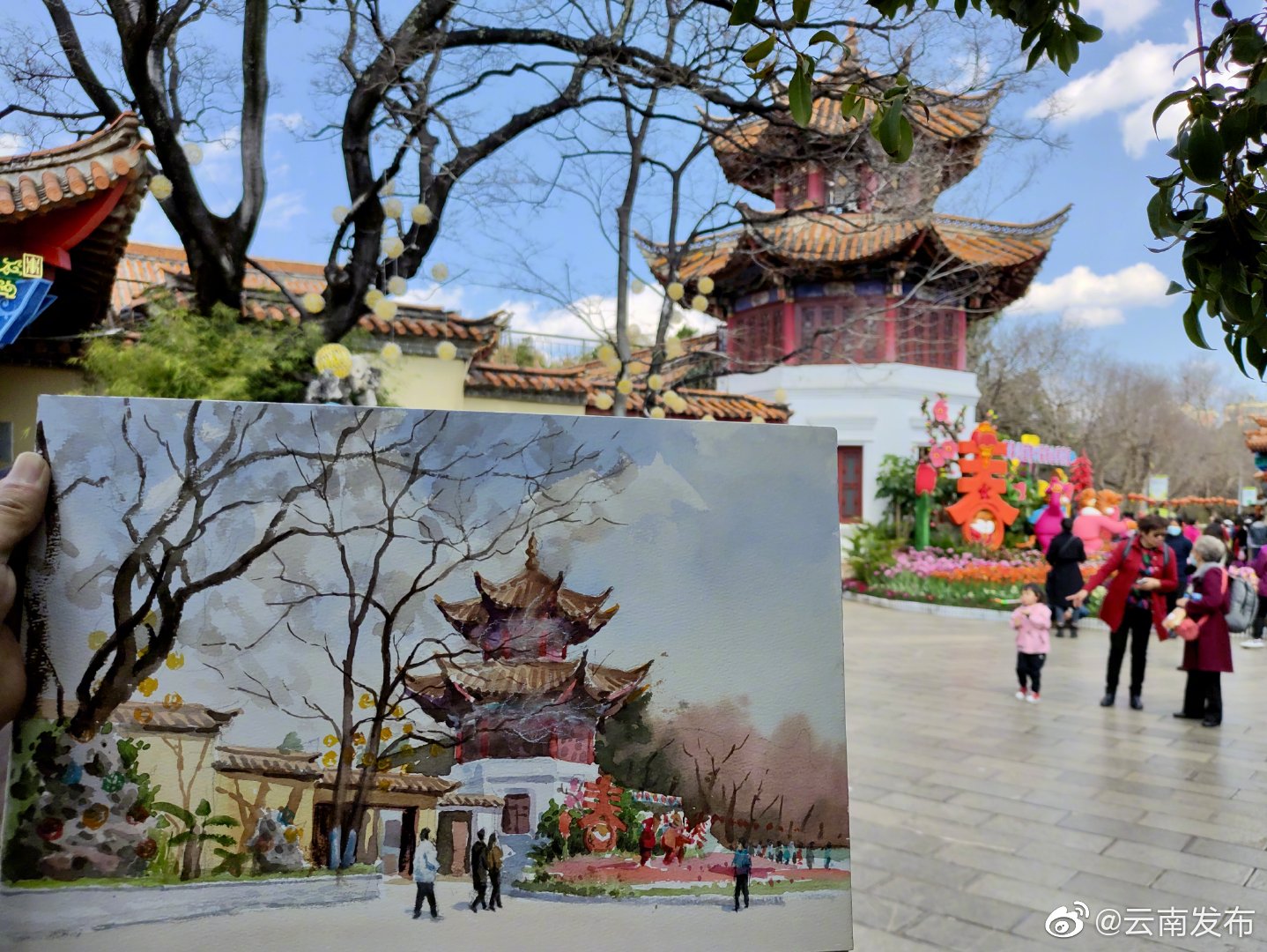 文艺氛围get！昆明海鸥文化节拉开帷幕