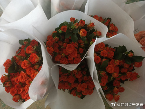 昆明晋宁发布