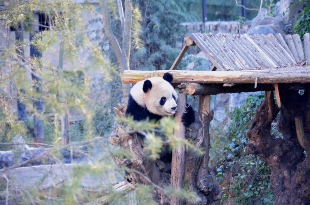 云南野生动物园