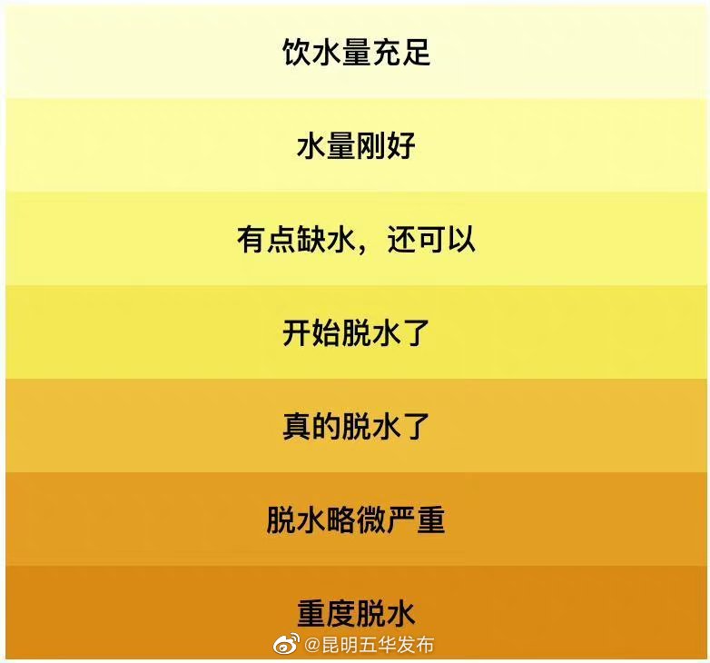 健康的尿液颜色≈第一泡茶水