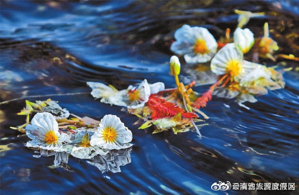 “滇池旅游度假区”微博