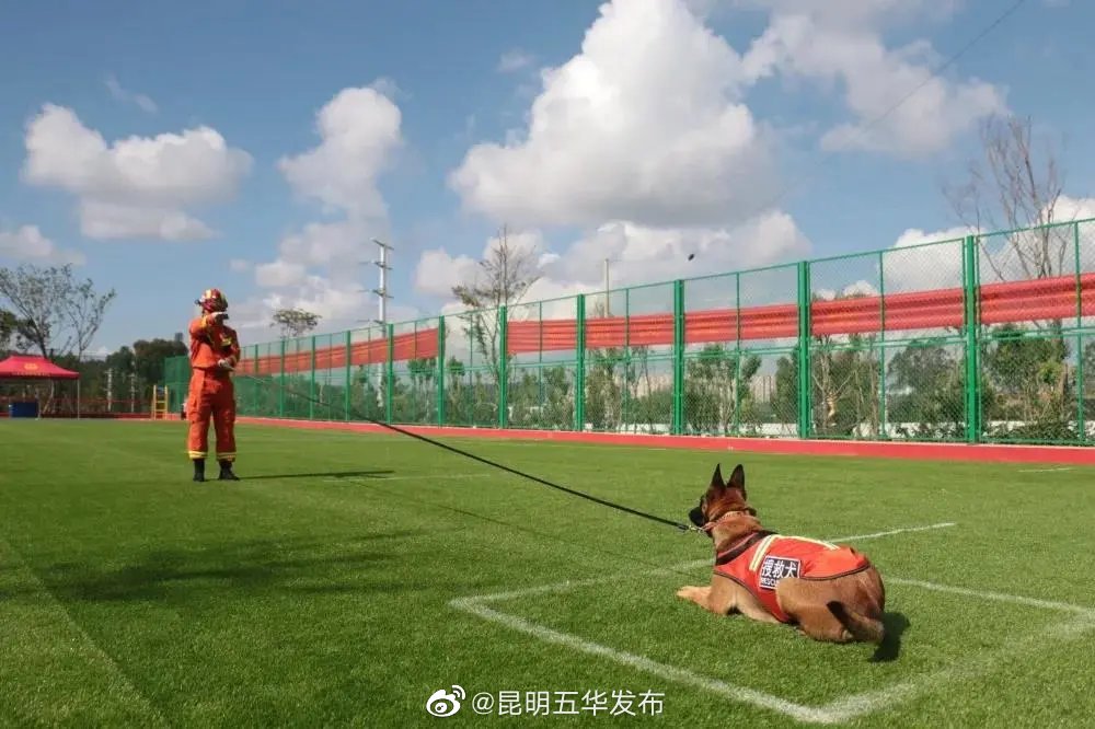 “昆明五华发布”微博
