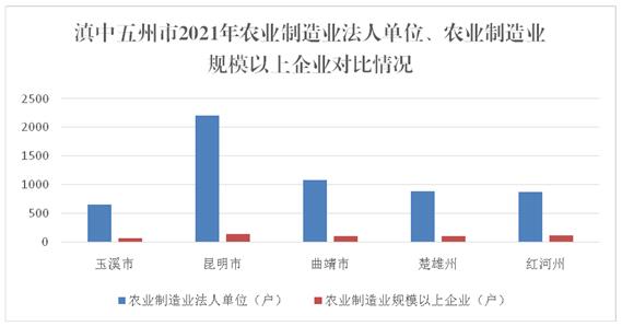玉溪市人民政府