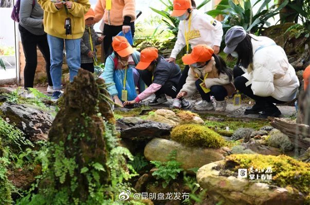 昆明盘龙发布