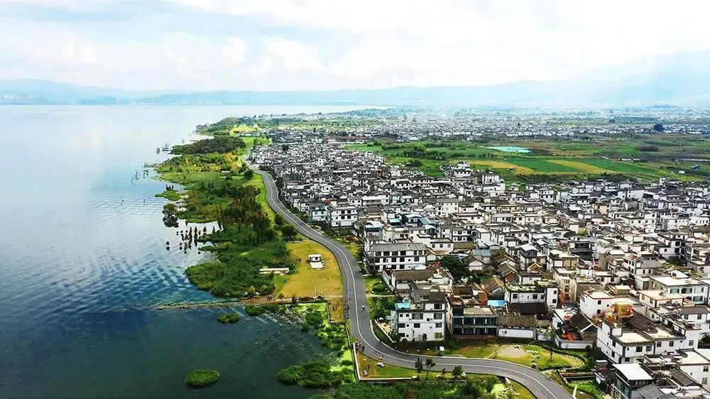 大理日报