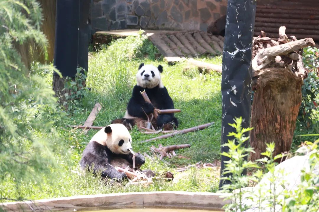 云南野生动物园