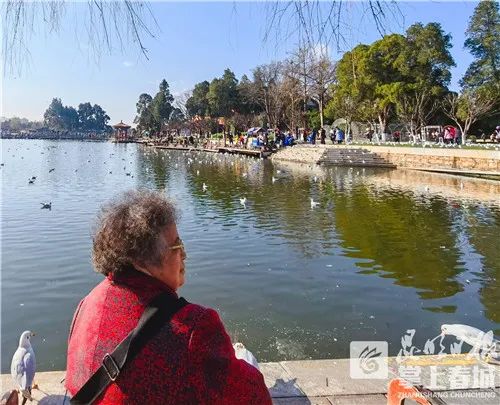 昆明滇池国家旅游度假区管理委员会(微信)