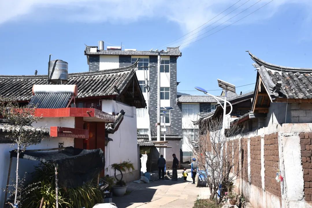 丽江日报