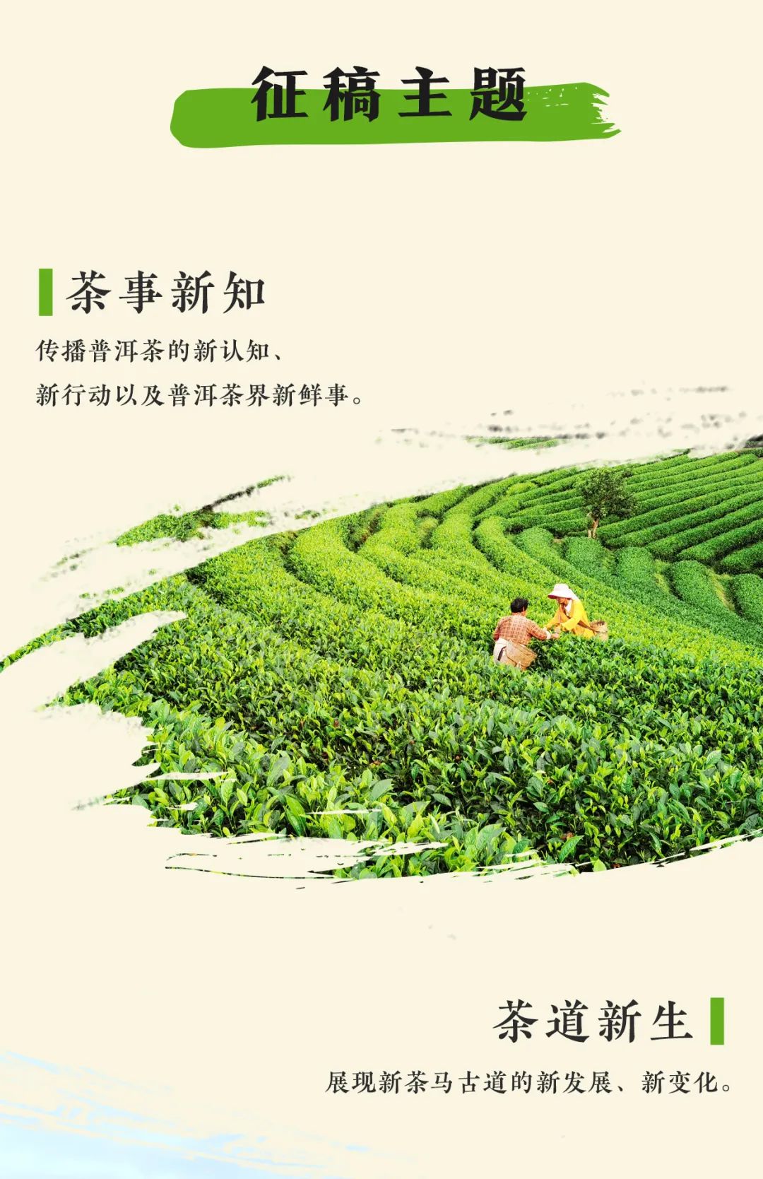普洱日报