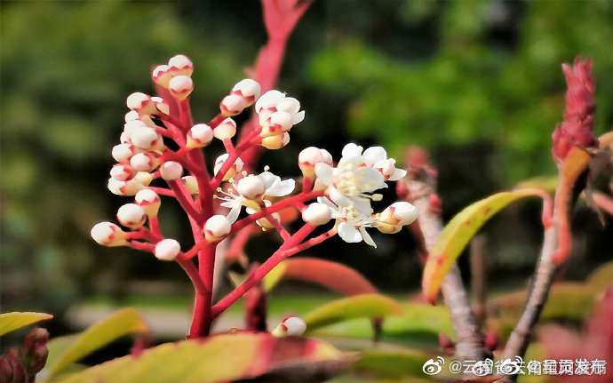 呈贡发布
