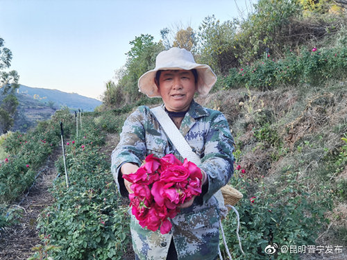 昆明晋宁发布