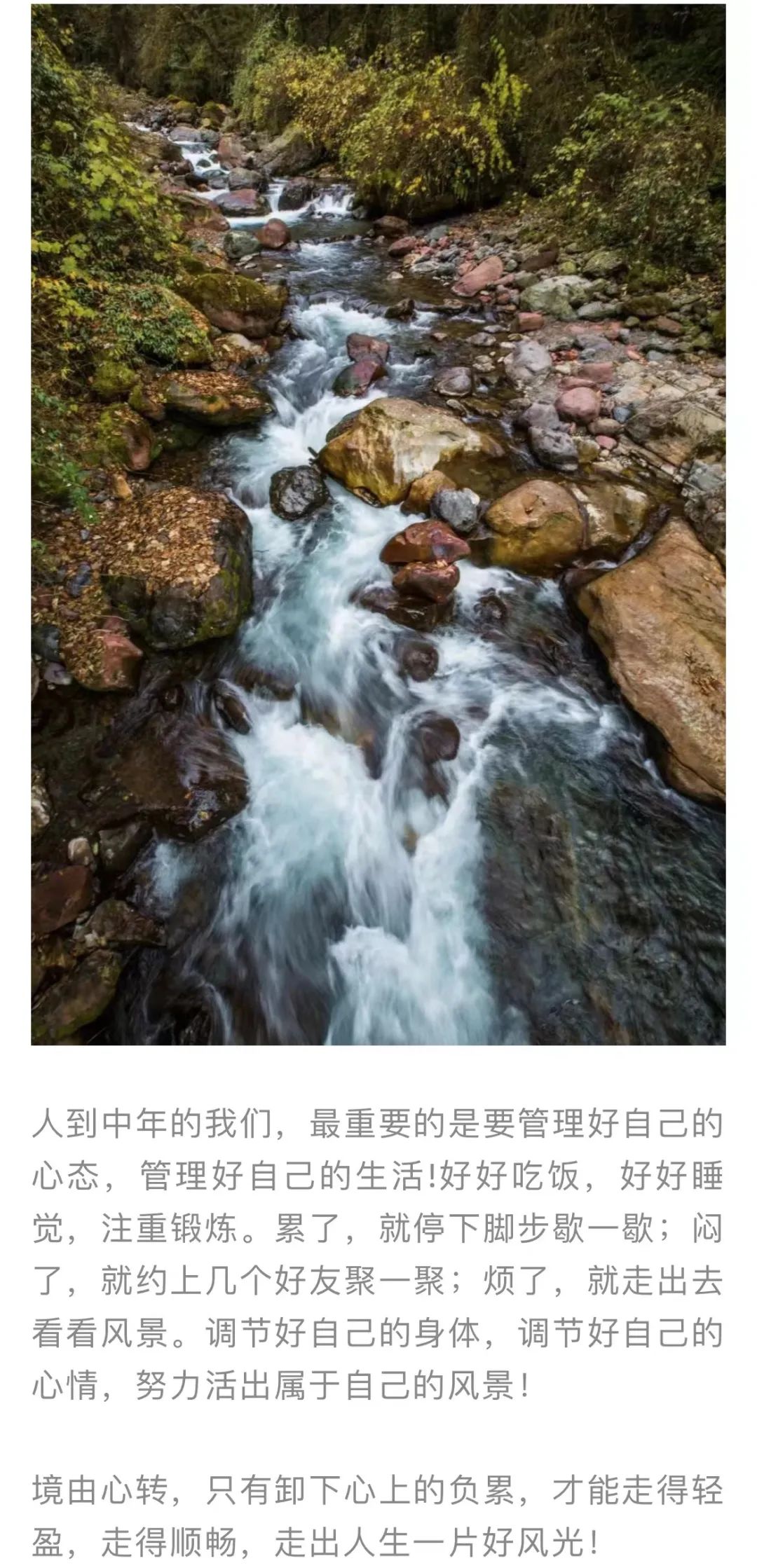 红色扎西