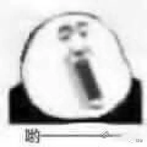 西双版纳望天树景区