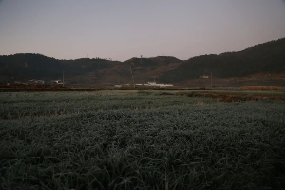 保山新闻网