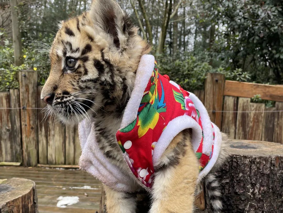 云南野生动物园