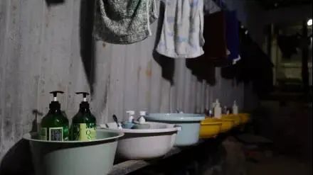 云南政法