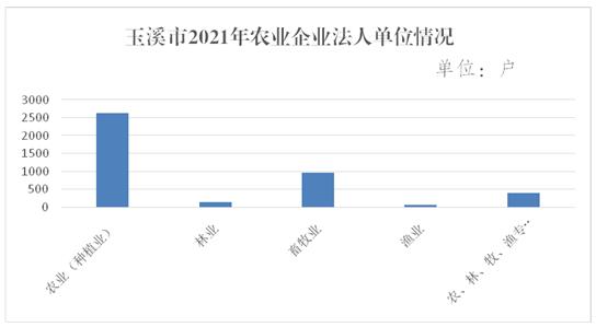 玉溪市人民政府