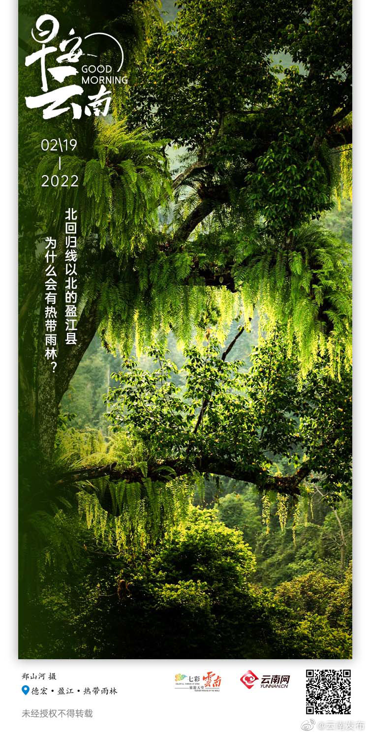 适逢轻盈雨水节气, 踏进旖旎盈江热带雨林