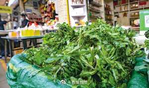 昆明人餐桌“春意”初显