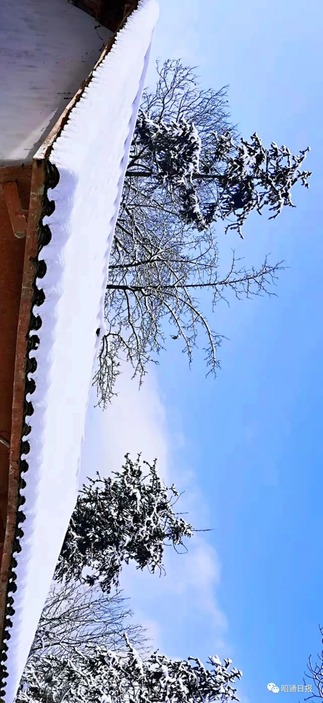 昭通日报