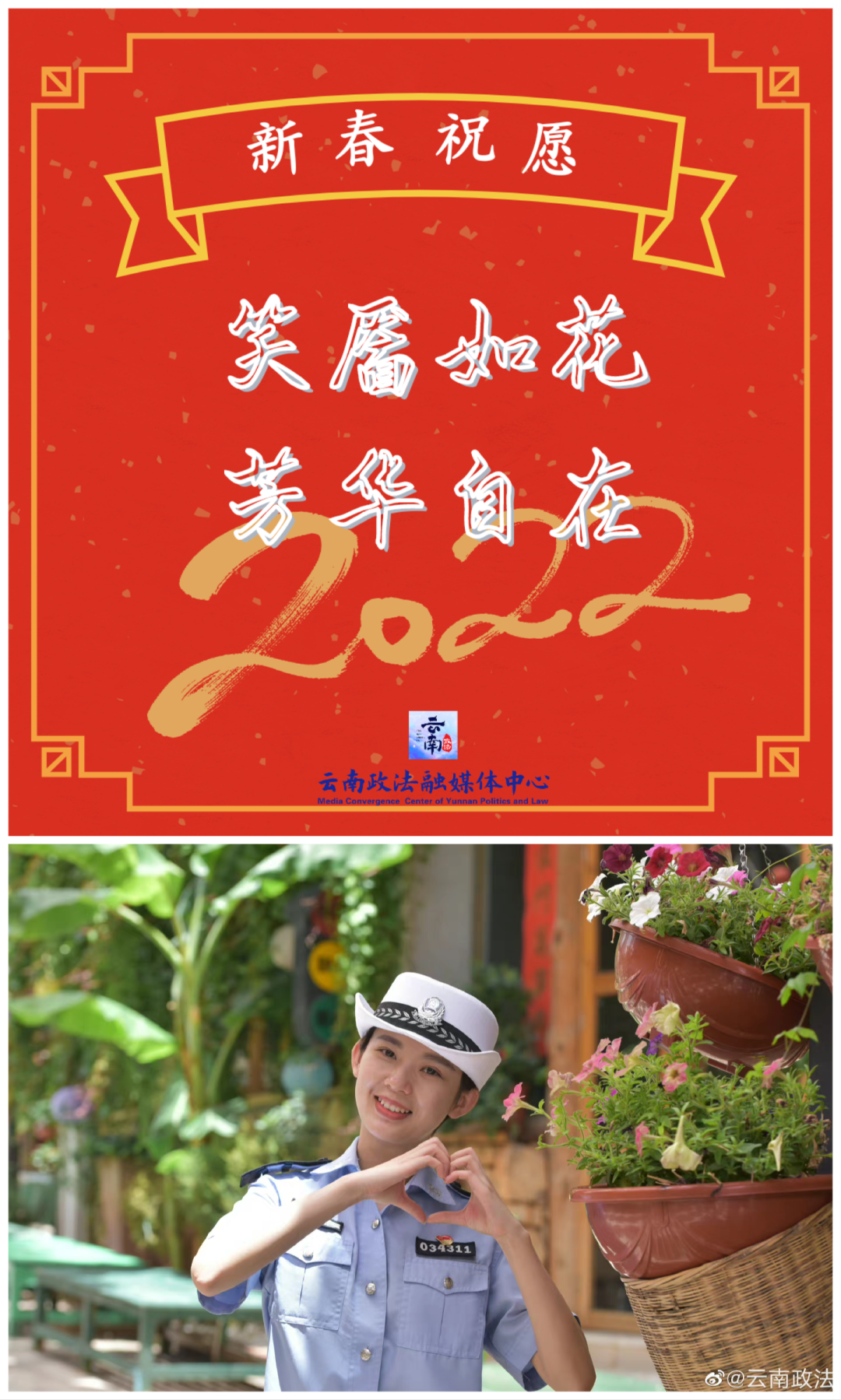 云南政法