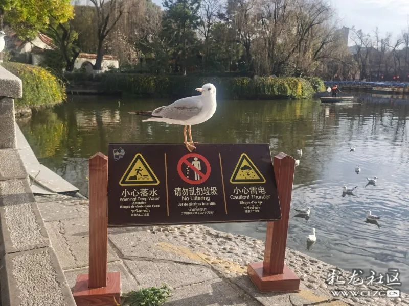 昆明滇池国家旅游度假区管理委员会(微信)