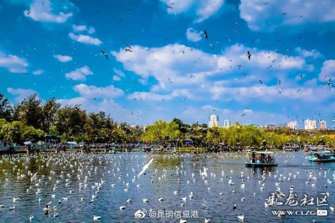 昆明信息港