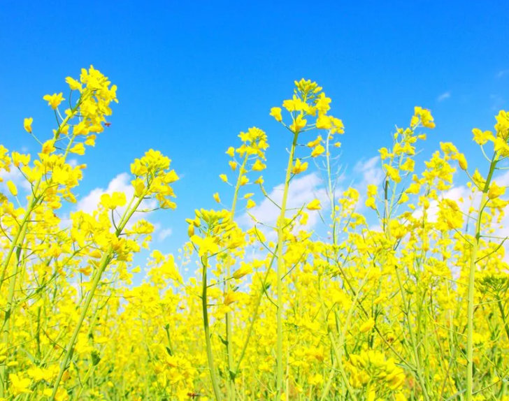 “云南发布”微博