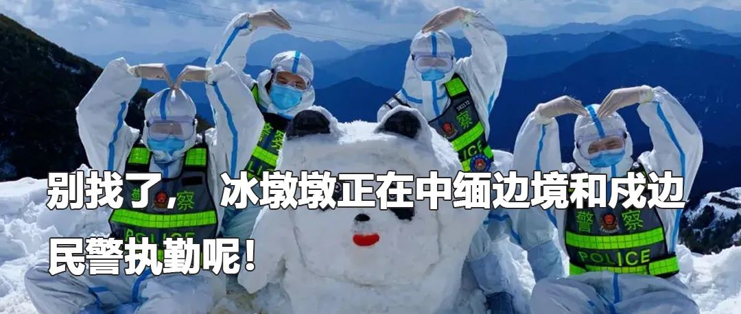 云南政法