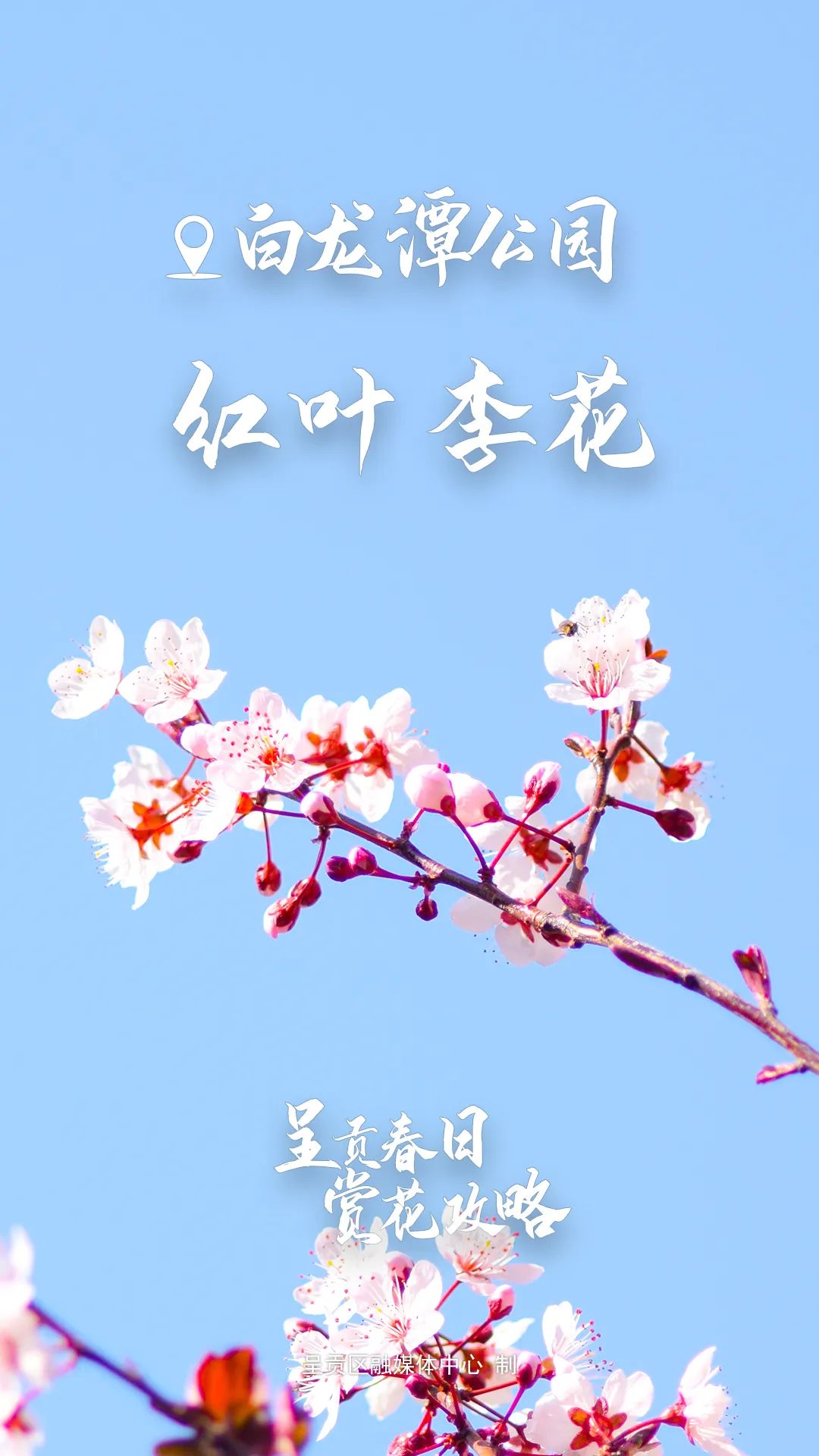 昆明生态环境