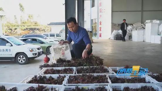 掌上春城微信公众号